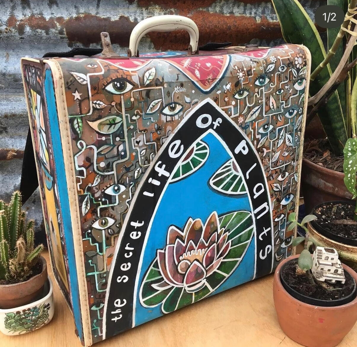The Secret Life of Plants Accordion Case