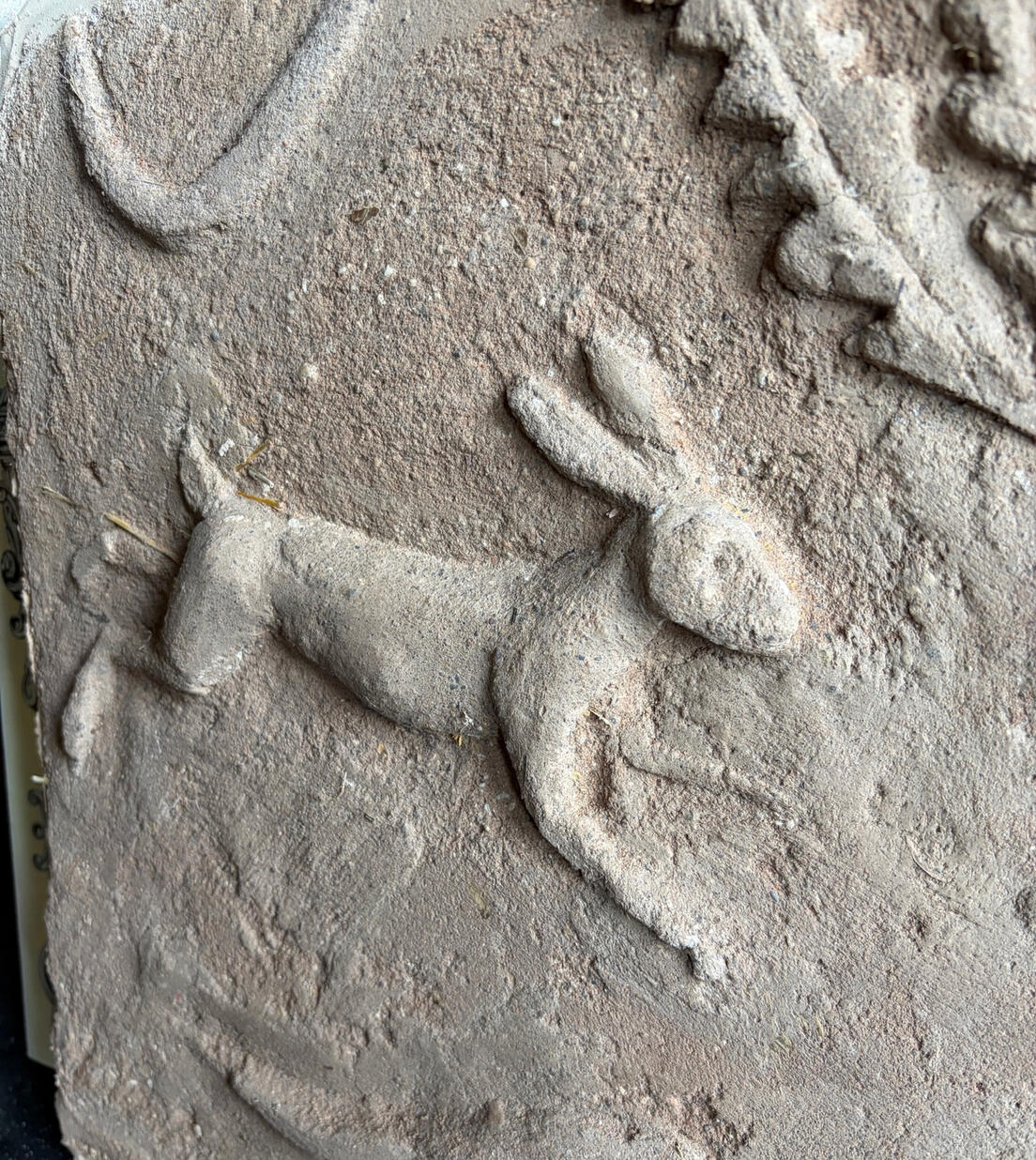 Hare Parget