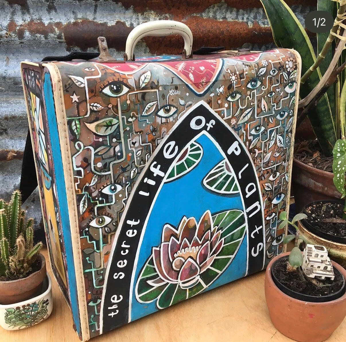 The Secret Life of Plants Accordion Case