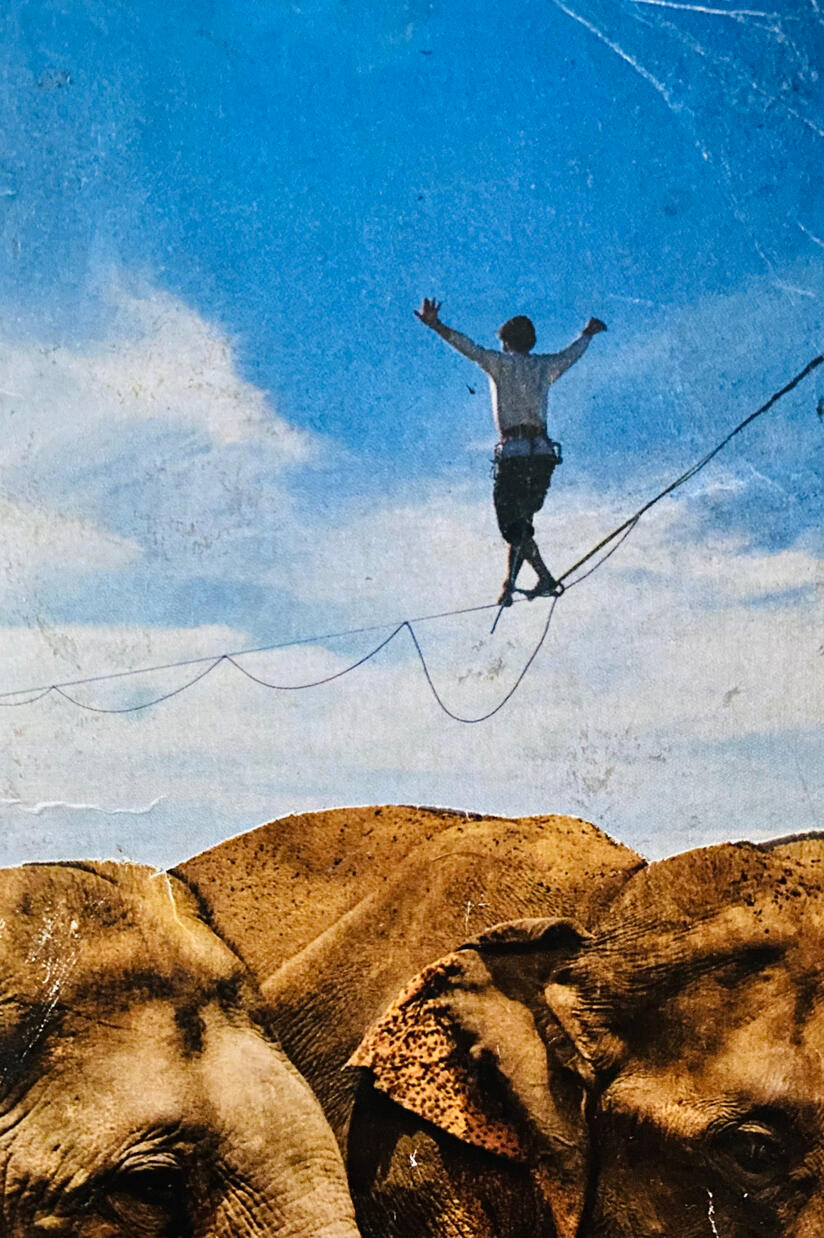 “The best way to travel through the elephant mountains” collage