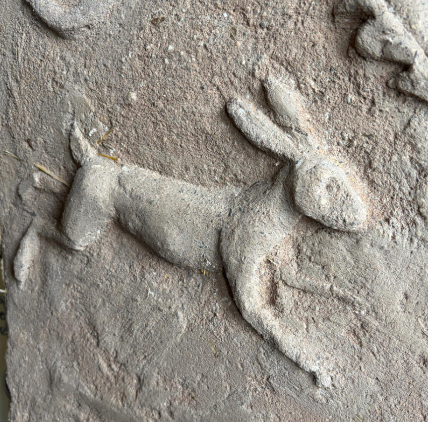 Hare Parget