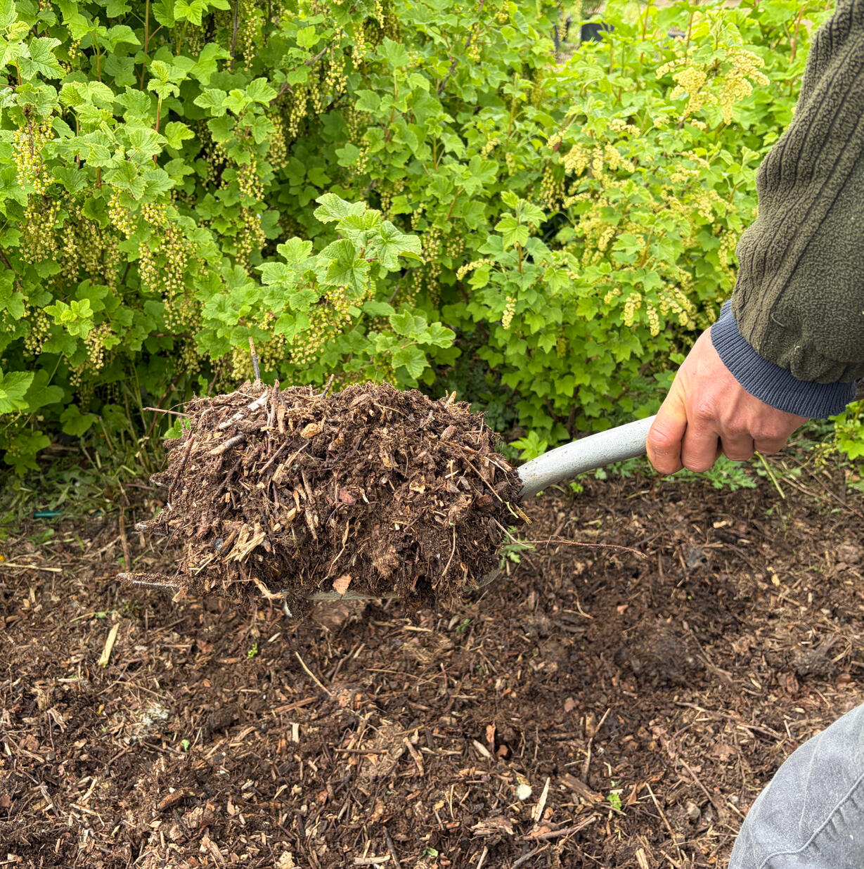 Compost