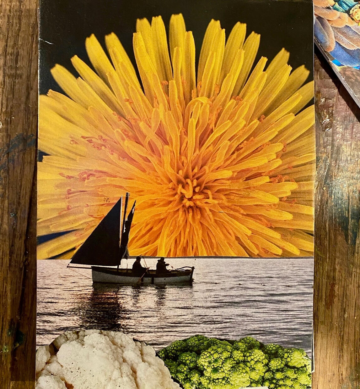 Dandelion Collage