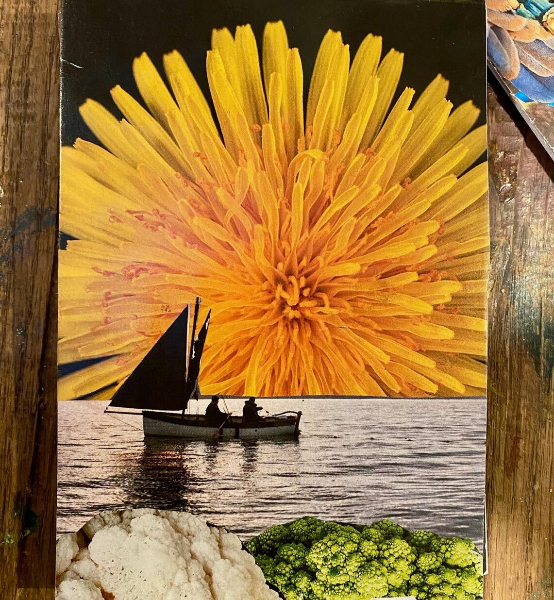 Dandelion Collage