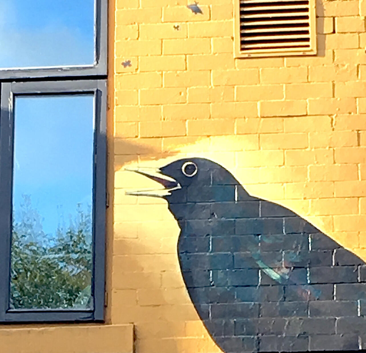 Blackbird Fallow